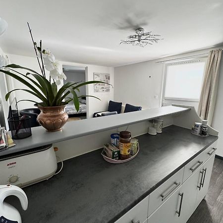 Appartement Detox Au Pied Du Semnoz Seynod Luaran gambar
