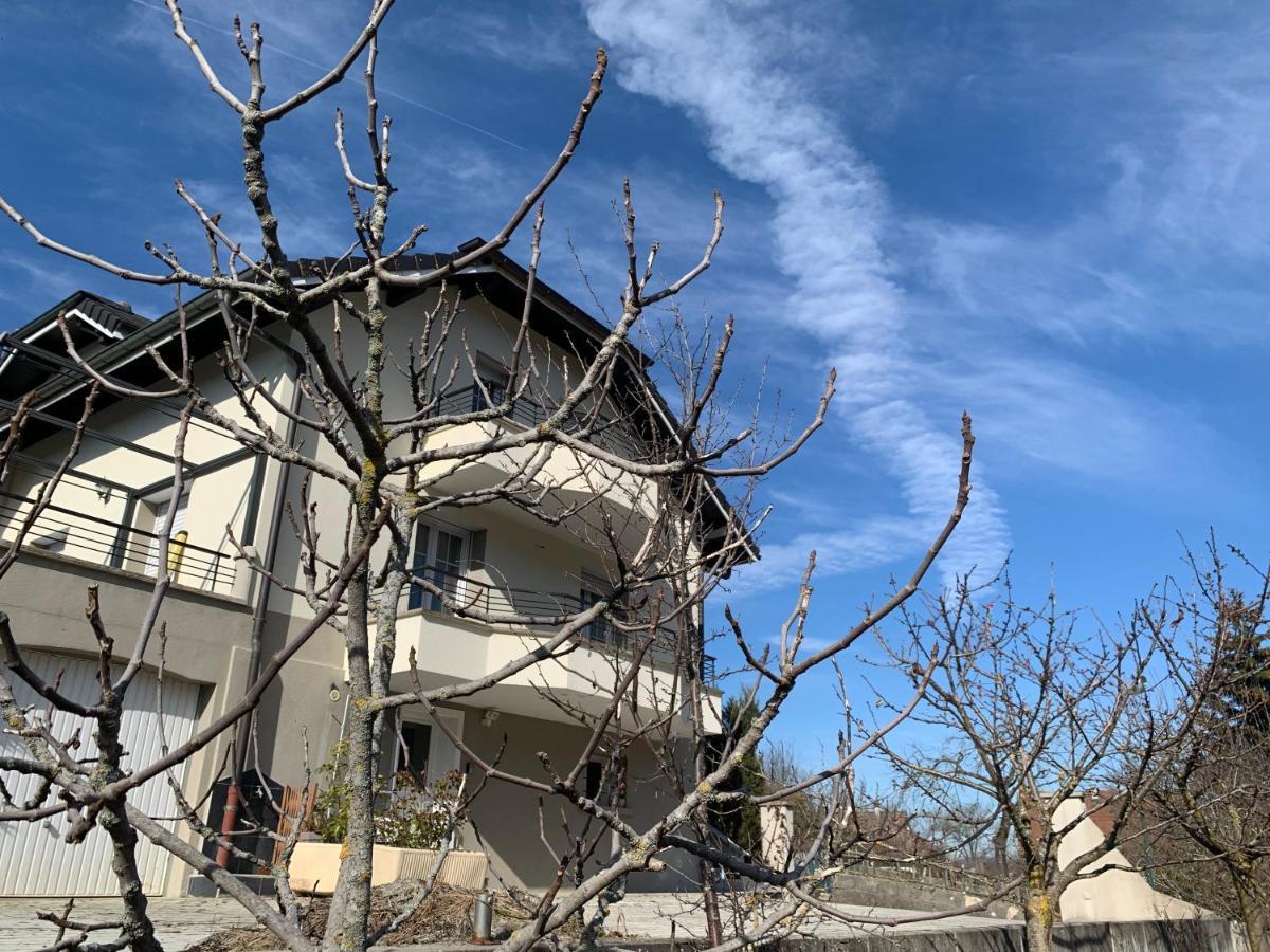 Appartement Detox Au Pied Du Semnoz Seynod Luaran gambar