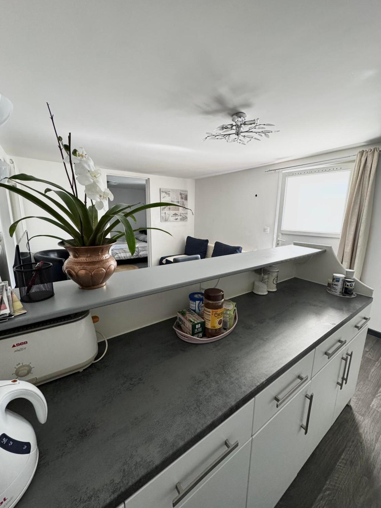 Appartement Detox Au Pied Du Semnoz Seynod Luaran gambar